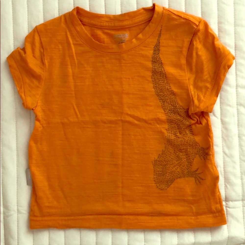 Icebreaker kids merino wool shirt, size 1-2